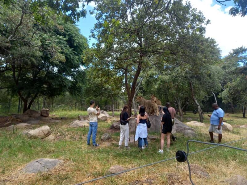 Harare: Half Day Outdoor Adventure - Who Should Consider This Tour?