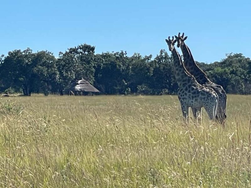 Harare: Half Day Outdoor Adventure - The Sum Up