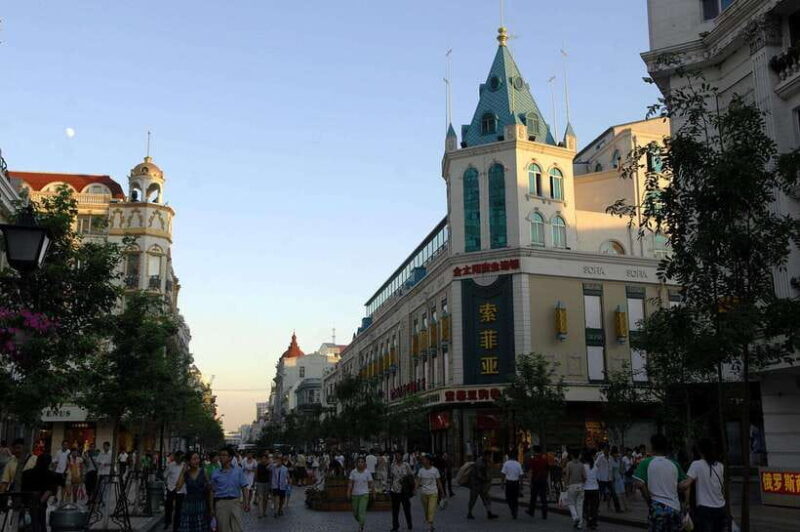Harbin Ice and Snow Fairyland Private Day Tour - Exploring Harbin’s Winter Wonderland