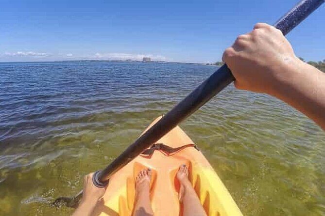 Harbor Kayak Rental in Destin, Florida - What to Expect from Your Kayak Rental