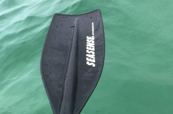 Harbor Kayak Rental in Destin, Florida - Who It’s Best For