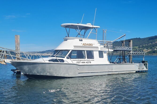 Harbour, Albatross and Wildlife Cruise on Otago Harbour - Key Points