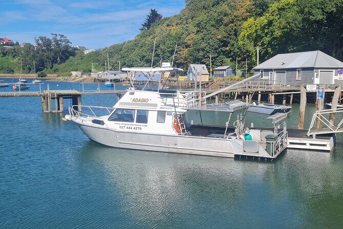 Harbour, Albatross and Wildlife Cruise on Otago Harbour - Duration and Group Size