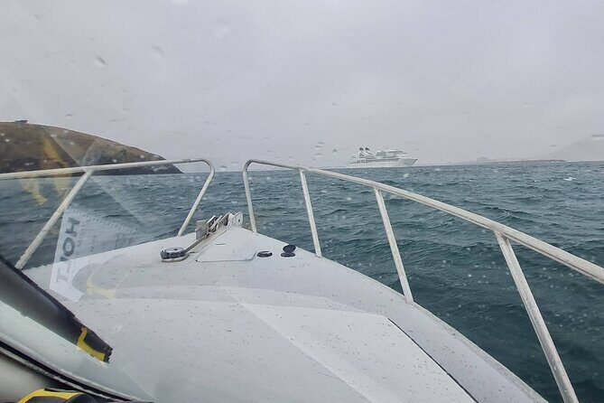 Harbour, Albatross and Wildlife Cruise on Otago Harbour - Cost and Value