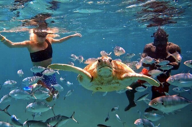 Harbour Lights-Chair &Turtle Shipwreck Snorkel Tour(10:30-1:30pm) - The Value Proposition: Is It Worth It?