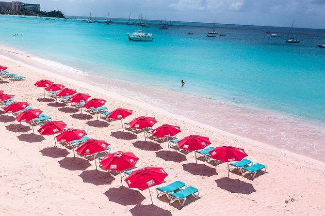 Harbour Lights-Chair &Turtle Shipwreck Snorkel Tour(10:30-1:30pm) - FAQ