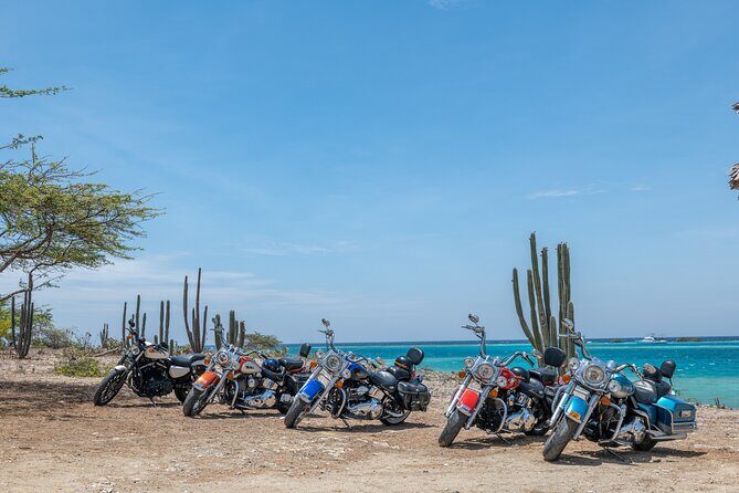 Harley-Davidson RENTALS ONLY 4 hrs - Key Points