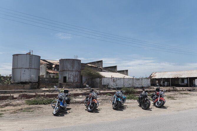Harley-Davidson RENTALS ONLY 8 hrs - Who Would Love This Experience?