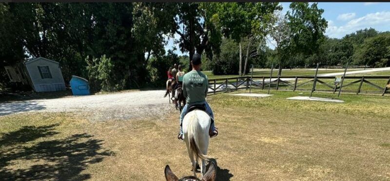 Harmony Horse Riding of Miami - What to Expect from Harmony Horse Riding of Miami