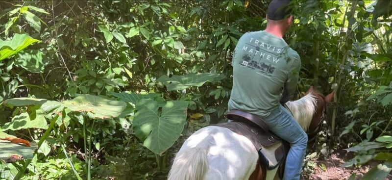 Harmony Horse Riding of Miami - Price and Value Analysis
