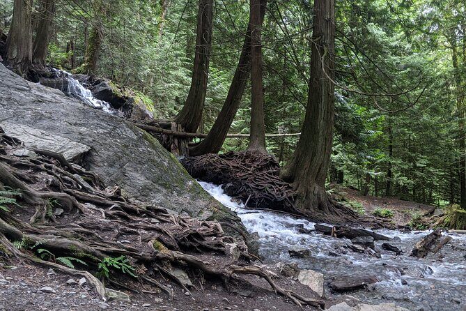 Harrison Day Trip private with Spa in Harrison Hot Springs - How It Compares to Other Experiences