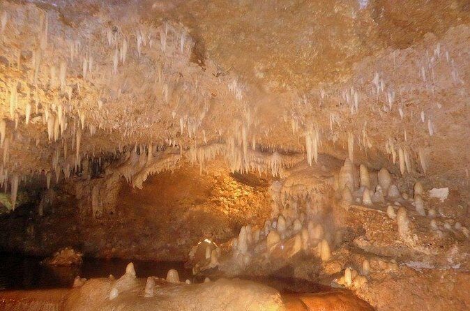 Harrison's Cave Tour from Bridgetown - The Sum Up: Is This Tour Right for You?