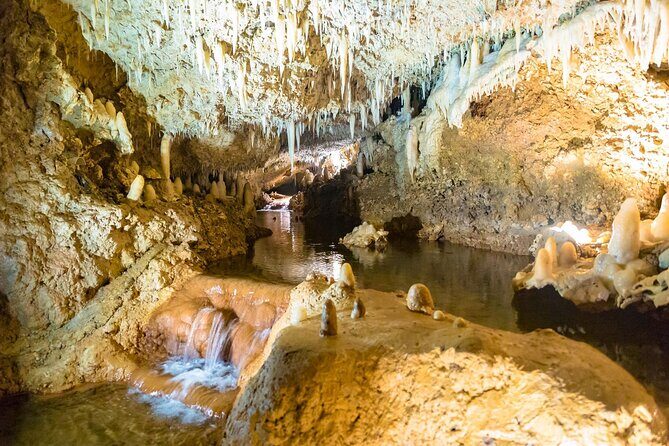 Harrison's Cave Tour in Barbados - Key Points