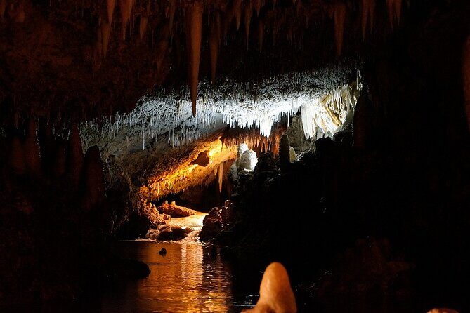 Harrison's Cave Tour in Barbados - A Closer Look at Harrison’s Cave: What to Expect