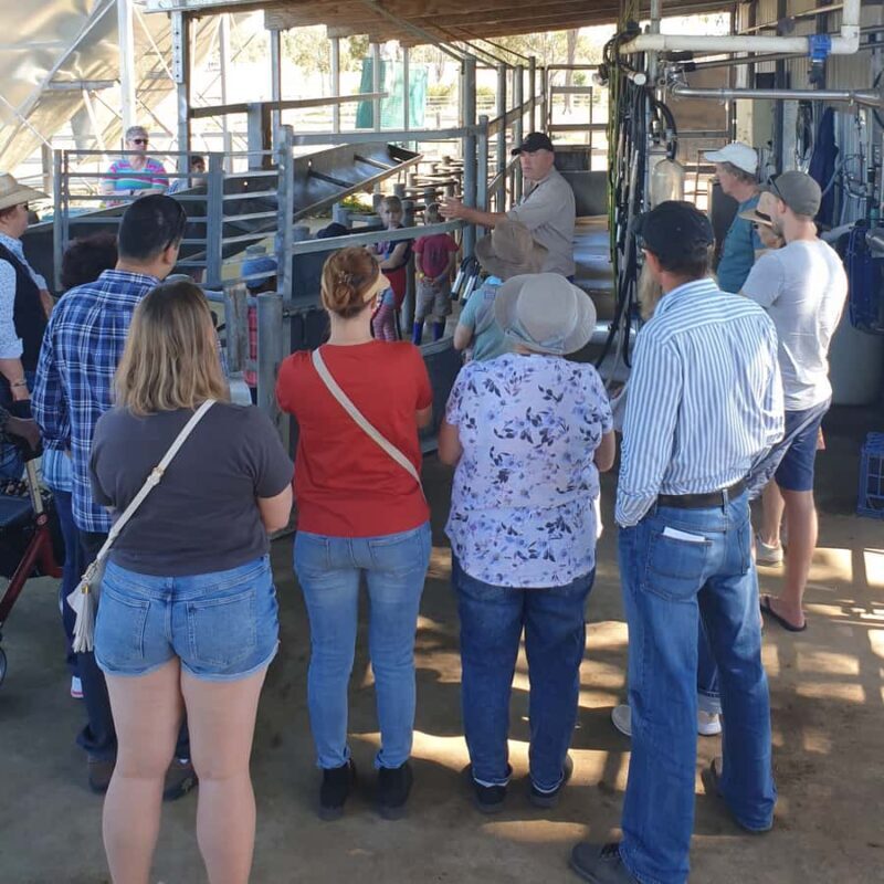Harrisville: Summer Land Camel Farm Tour with Tasting - Practicalities and Logistics