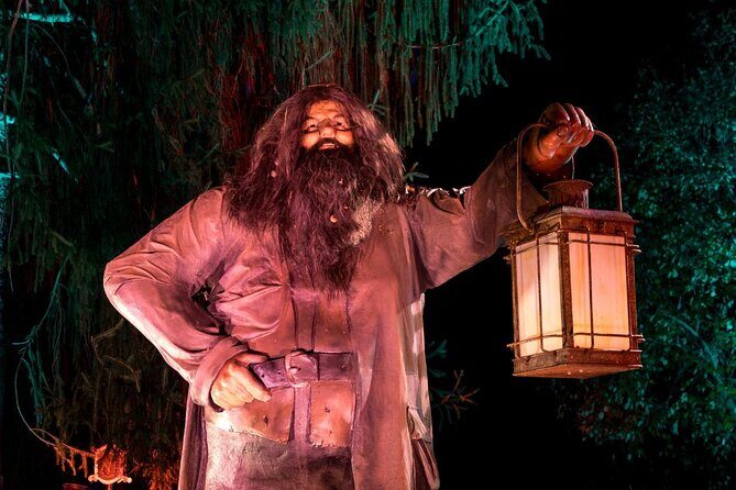 Harry Potter A Forbidden Forest Experience in Brisbane Australia - A Closer Look at the Forbidden Forest Experience