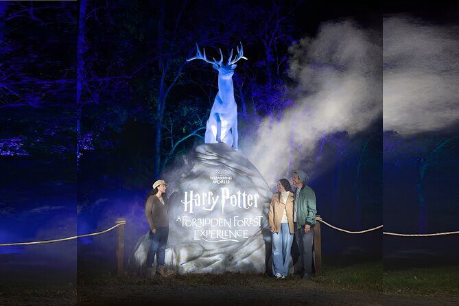 Harry Potter A Forbidden Forest Experience in Brisbane Australia - FAQs