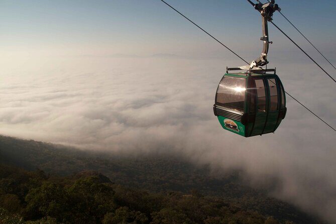 Harties Cableway Experience Ticket - Activities and Facilities