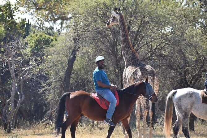 Harties Horse Trail Safari Half day - What to Expect from the Harties Horse Trail Safari