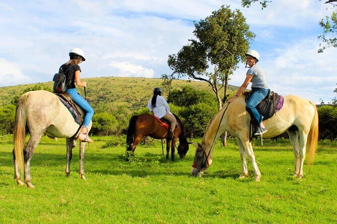 Harties Horse Trail Safari Half day - The Sum Up