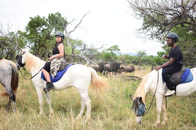 Harties Horse Trail Safari Half day - FAQ