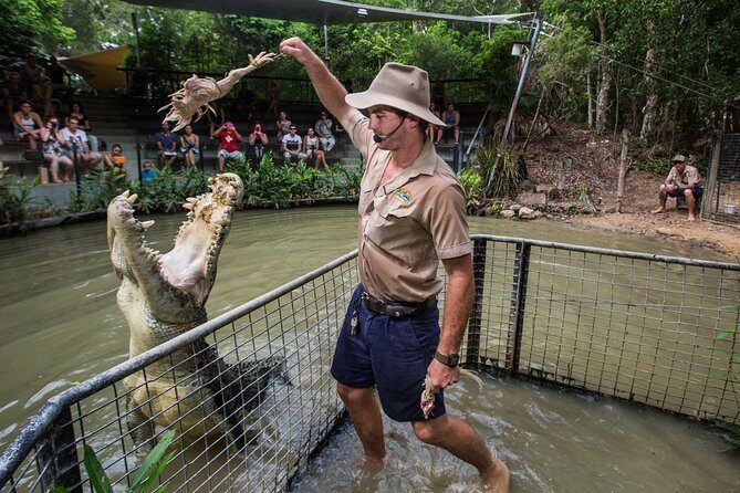Hartley's Crocodile Adventures Day Trip from Palm Cove - An Introduction to the Experience