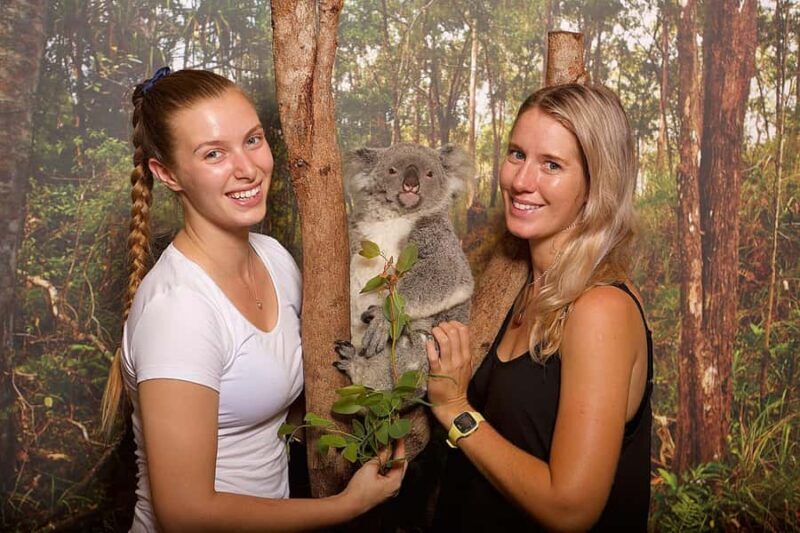 Hartley's Crocodile Adventures: Hartley's Koala Breakfast - Final Thoughts