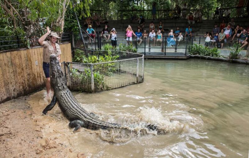 Hartley's Crocodile Adventures Park Entry - Key Points
