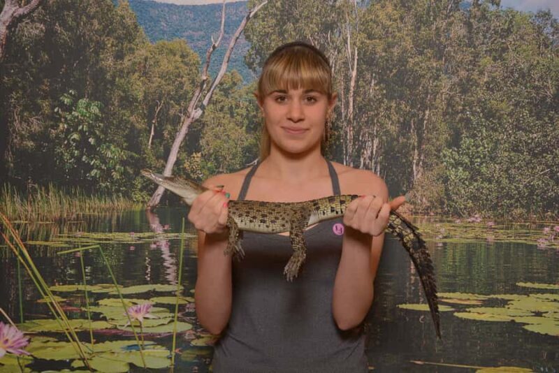Hartley's Crocodile Adventures Park Entry - A Full Look at Hartleys Crocodile Adventures