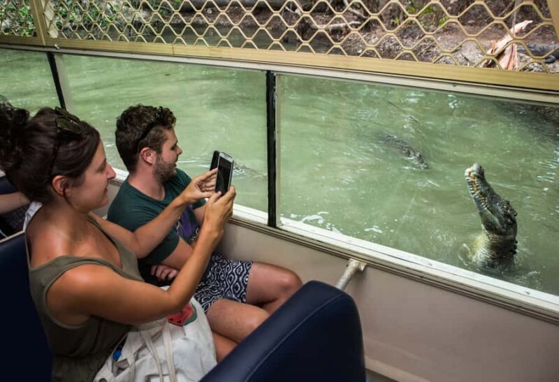 Hartley's Crocodile Adventures Park Entry - FAQ