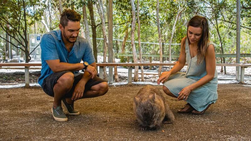Hartley's Crocodile Adventures: Zootastic 5 + Entry Ticket - Final Thoughts