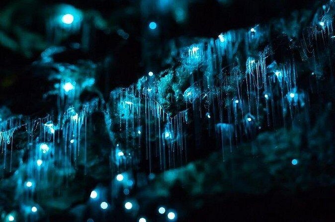 Haruru Waterfalls and Glow Worm Caves Tour - Value and Practical Considerations