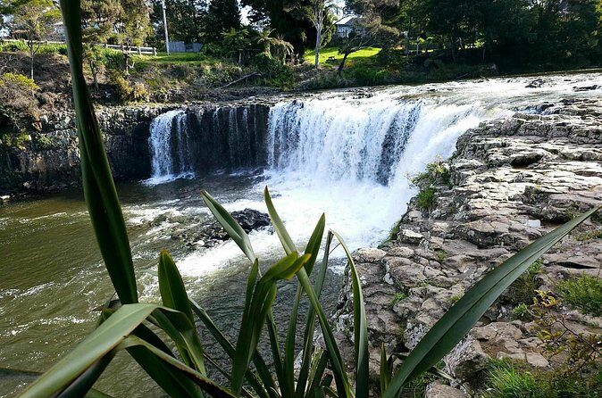 Haruru Waterfalls and Glow Worm Caves Tour - Why This Tour Works Well