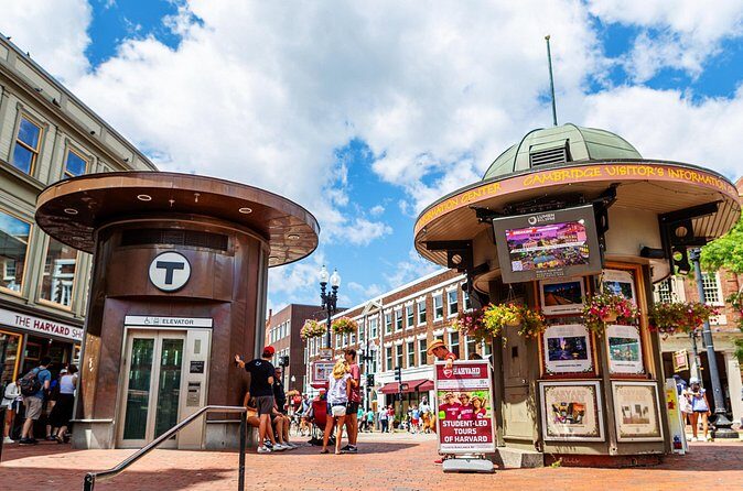 Harvard Square Donut Adventure - Learning Along the Way