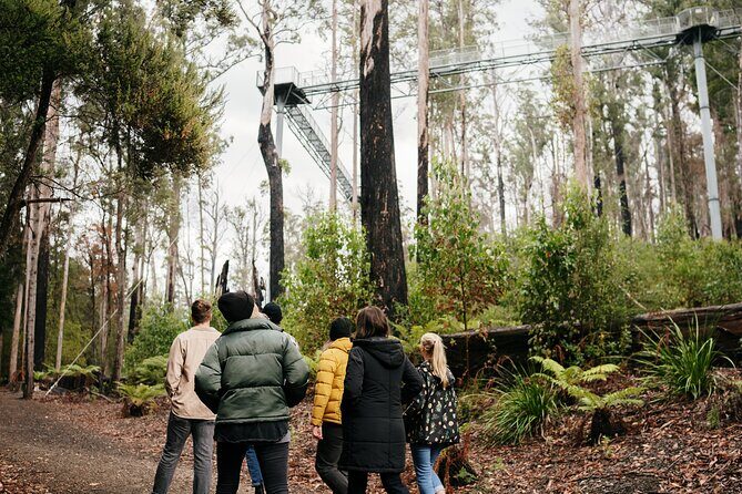 Hastings Caves, Tahune Airwalk and the Huon Tasting Trail - Hastings Caves, Tahune Airwalk, and the Huon Tasting Trail: A Deep Dive into Tasmania’s Natural Beauty