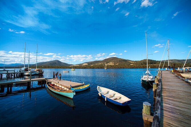 Hastings Caves, Tahune Airwalk and the Huon Tasting Trail - An In-Depth Look at the Tour Experience