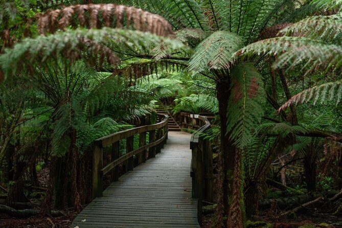 Hastings Caves, Tahune Airwalk and the Huon Tasting Trail - Frequently Asked Questions