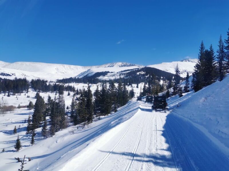 Hatcher Pass: Heated & Enclosed ATV Tours - Open All Year! - The Scenery: Mountains, Wildlife, and Gold Mines