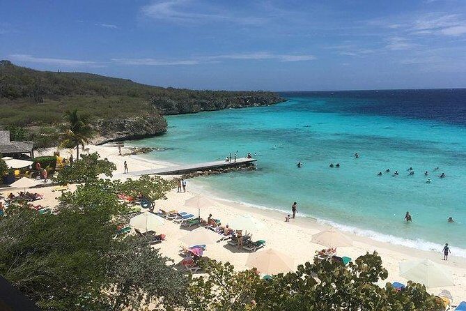 Hato Caves, Turtles & Beach - Additional Sightings: Flamingos and Local Wildlife