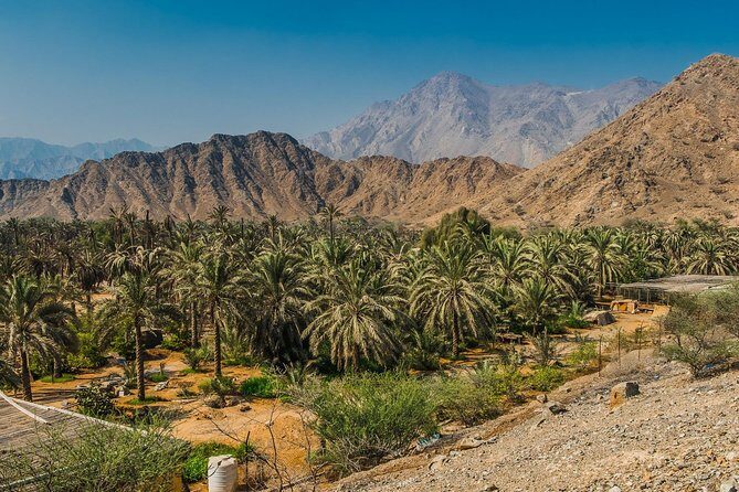 Hatta Mountain Tour - Who Should Consider This Tour?