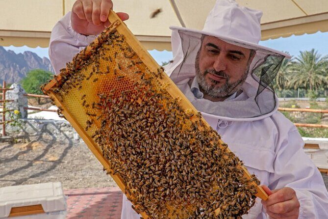 Hatta Mountain Tour, Hatta Dam, Heritage Village, Honeybee Garden - FAQ