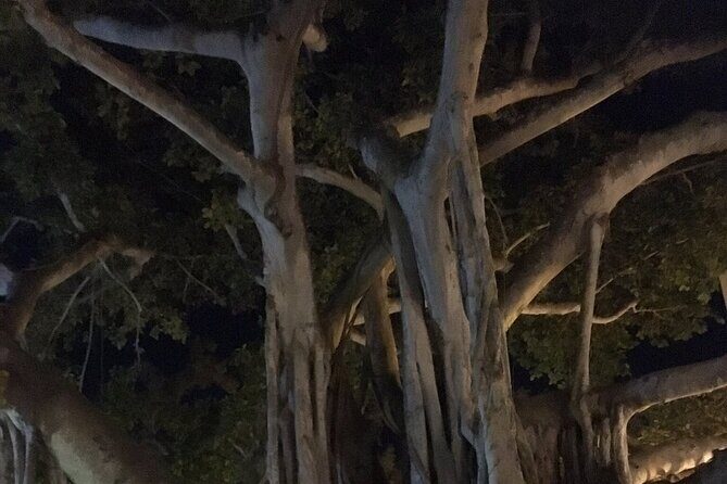 Haunted History of Fort Myers Walking Tour - Who Will Love This Tour?