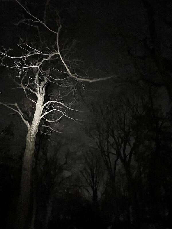 Haunted Mountain Ghost Walking Tour - Key Points