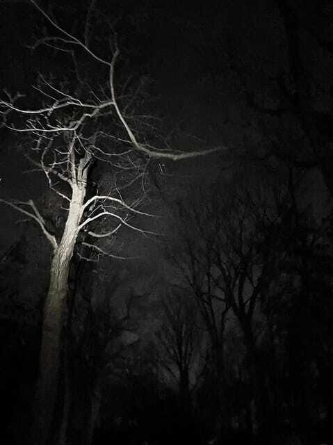 Haunted Mountain Ghost Walking Tour - FAQs