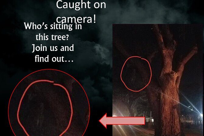 Haunted Saint Augustine A Paranormal Investigation - The Experience: Why It Works