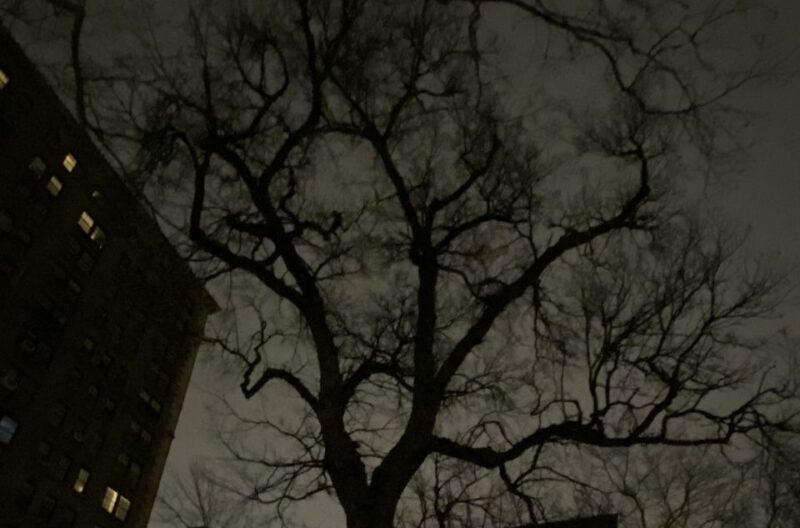 Haunted Village of New York City walking tour - What Makes This Tour Stand Out?