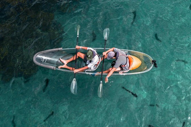 Hauraki Gulf and City Scenic Flight in Auckland Region - FAQs