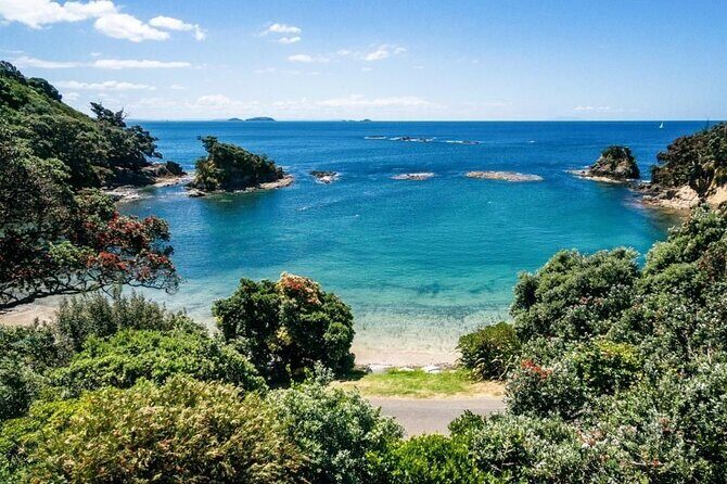 Hauraki Gulf Eco Sailing Adventure - Who Is This Tour Best For?