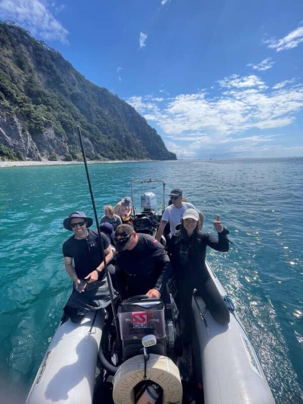 Hauraki Gulf: Hammerhead Experience Dive Charter - An Authentic Dive into New Zealand’s Marine Environment