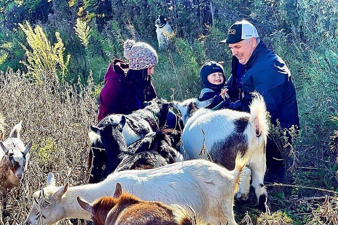 Haute Goat Shmurgle in Ontario - An Authentic Ontario Farm Experience: Haute Goat Shmurgle